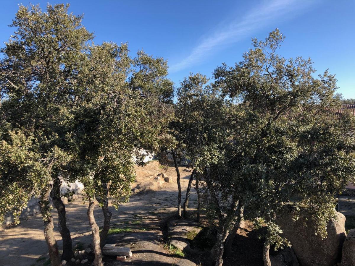 Finca El Olivo Ituero y Lama ภายนอก รูปภาพ